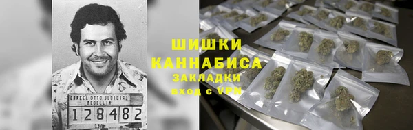 ПСИЛОЦИБИНОВЫЕ ГРИБЫ Беломорск
